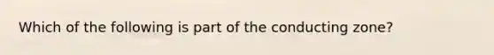 Which of the following is part of the conducting zone?