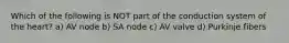 Which of the following is NOT part of the conduction system of the heart? a) AV node b) SA node c) AV valve d) Purkinje fibers