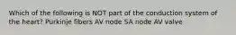 Which of the following is NOT part of the conduction system of the heart? Purkinje fibers AV node SA node AV valve