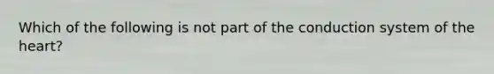 Which of the following is not part of the conduction system of the heart?