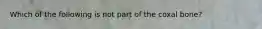 Which of the following is not part of the coxal bone?