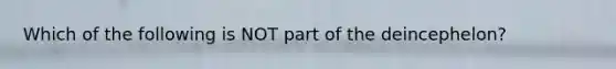 Which of the following is NOT part of the deincephelon?