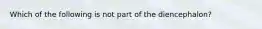 Which of the following is not part of the diencephalon?