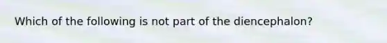 Which of the following is not part of the diencephalon?