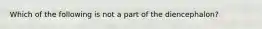 Which of the following is not a part of the diencephalon?