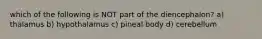 which of the following is NOT part of the diencephalon? a) thalamus b) hypothalamus c) pineal body d) cerebellum