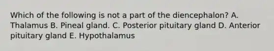 Which of the following is not a part of the diencephalon? A. Thalamus B. Pineal gland. C. Posterior pituitary gland D. Anterior pituitary gland E. Hypothalamus