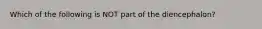 Which of the following is NOT part of the diencephalon?