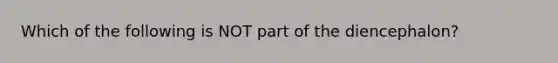 Which of the following is NOT part of the diencephalon?