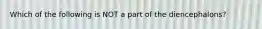 Which of the following is NOT a part of the diencephalons?