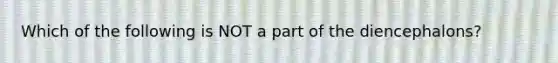 Which of the following is NOT a part of the diencephalons?