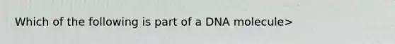 Which of the following is part of a DNA molecule>