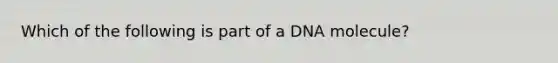 Which of the following is part of a DNA molecule?