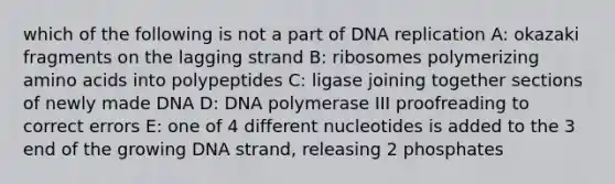 which of the following is not a part of <a href='https://www.questionai.com/knowledge/kofV2VQU2J-dna-replication' class='anchor-knowledge'>dna replication</a> A: okazaki fragments on the lagging strand B: ribosomes polymerizing <a href='https://www.questionai.com/knowledge/k9gb720LCl-amino-acids' class='anchor-knowledge'>amino acids</a> into polypeptides C: ligase joining together sections of newly made DNA D: DNA polymerase III proofreading to correct errors E: one of 4 different nucleotides is added to the 3 end of the growing DNA strand, releasing 2 phosphates