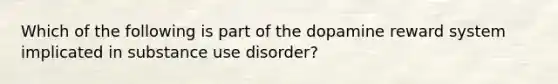 Which of the following is part of the dopamine reward system implicated in substance use disorder?