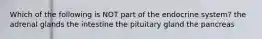 Which of the following is NOT part of the endocrine system? the adrenal glands the intestine the pituitary gland the pancreas