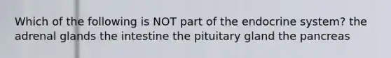 Which of the following is NOT part of the endocrine system? the adrenal glands the intestine the pituitary gland the pancreas