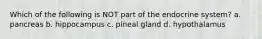Which of the following is NOT part of the endocrine system? a. pancreas b. hippocampus c. pineal gland d. hypothalamus
