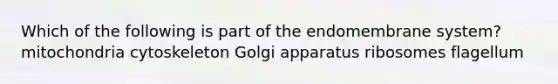 Which of the following is part of the endomembrane system? mitochondria cytoskeleton Golgi apparatus ribosomes flagellum