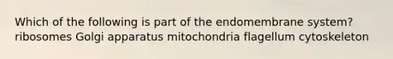 Which of the following is part of the endomembrane system? ribosomes Golgi apparatus mitochondria flagellum cytoskeleton