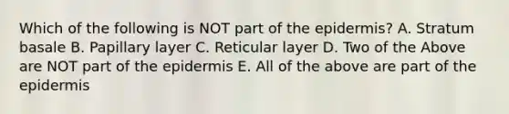 Which of the following is NOT part of the epidermis? A. Stratum basale B. Papillary layer C. Reticular layer D. Two of the Above are NOT part of the epidermis E. All of the above are part of the epidermis