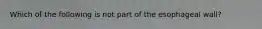 Which of the following is not part of the esophageal wall?