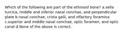 Which of the following are part of the ethmoid bone? a.sella turcica, middle and inferior nasal conchae, and perpendicular plate b.nasal conchae, crista galli, and olfactory foramina c.superior and middle nasal conchae, optic foramen, and optic canal d.None of the above is correct.