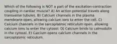 Which of the following is NOT a part of the excitation-contraction coupling in cardiac muscle? A) An action potential travels along transverse tubules. B) Calcium channels in the plasma membrane open, allowing calcium ions to enter the cell. C) Calcium channels in the sarcoplasmic reticulum open, allowing calcium ions to enter the cytosol. D) Calcium binds to calmodulin in the cytosol. E) Calcium opens calcium channels in the sarcoplasmic reticulum.