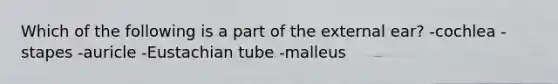 Which of the following is a part of the external ear? -cochlea -stapes -auricle -Eustachian tube -malleus