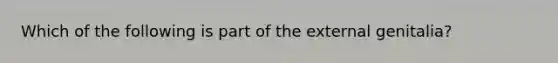 Which of the following is part of the external genitalia?