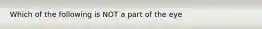 Which of the following is NOT a part of the eye