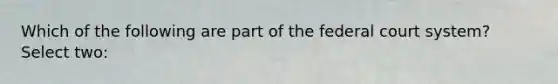 Which of the following are part of the federal court system? Select two: