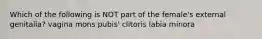 Which of the following is NOT part of the female's external genitalia? vagina mons pubis' clitoris labia minora