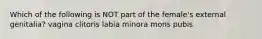 Which of the following is NOT part of the female's external genitalia? vagina clitoris labia minora mons pubis