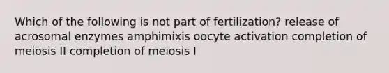 Which of the following is not part of fertilization? release of acrosomal enzymes amphimixis oocyte activation completion of meiosis II completion of meiosis I