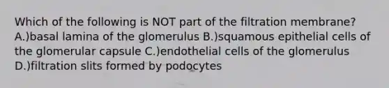 Which of the following is NOT part of the filtration membrane? A.)basal lamina of the glomerulus B.)squamous epithelial cells of the glomerular capsule C.)endothelial cells of the glomerulus D.)filtration slits formed by podocytes