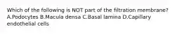 Which of the following is NOT part of the filtration membrane? A.Podocytes B.Macula densa C.Basal lamina D.Capillary endothelial cells