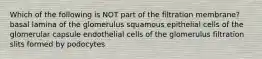 Which of the following is NOT part of the filtration membrane? basal lamina of the glomerulus squamous epithelial cells of the glomerular capsule endothelial cells of the glomerulus filtration slits formed by podocytes