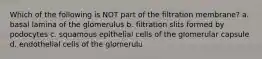 Which of the following is NOT part of the filtration membrane? a. basal lamina of the glomerulus b. filtration slits formed by podocytes c. squamous epithelial cells of the glomerular capsule d. endothelial cells of the glomerulu