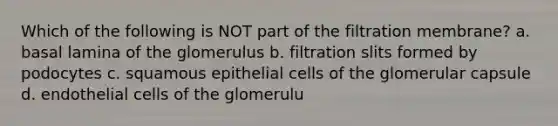 Which of the following is NOT part of the filtration membrane? a. basal lamina of the glomerulus b. filtration slits formed by podocytes c. squamous epithelial cells of the glomerular capsule d. endothelial cells of the glomerulu