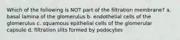 Which of the following is NOT part of the filtration membrane? a. basal lamina of the glomerulus b. endothelial cells of the glomerulus c. squamous epithelial cells of the glomerular capsule d. filtration slits formed by podocytes