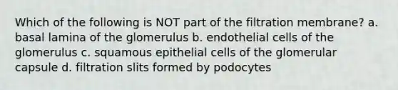 Which of the following is NOT part of the filtration membrane? a. basal lamina of the glomerulus b. endothelial cells of the glomerulus c. squamous epithelial cells of the glomerular capsule d. filtration slits formed by podocytes