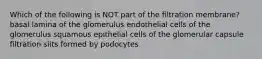 Which of the following is NOT part of the filtration membrane? basal lamina of the glomerulus endothelial cells of the glomerulus squamous epithelial cells of the glomerular capsule filtration slits formed by podocytes