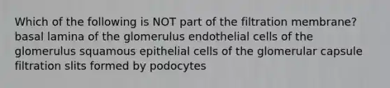 Which of the following is NOT part of the filtration membrane? basal lamina of the glomerulus endothelial cells of the glomerulus squamous epithelial cells of the glomerular capsule filtration slits formed by podocytes