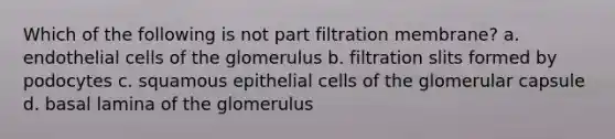 Which of the following is not part filtration membrane? a. endothelial cells of the glomerulus b. filtration slits formed by podocytes c. squamous epithelial cells of the glomerular capsule d. basal lamina of the glomerulus