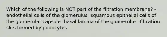 Which of the following is NOT part of the filtration membrane? -endothelial cells of the glomerulus -squamous epithelial cells of the glomerular capsule -basal lamina of the glomerulus -filtration slits formed by podocytes