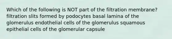 Which of the following is NOT part of the filtration membrane? filtration slits formed by podocytes basal lamina of the glomerulus endothelial cells of the glomerulus squamous epithelial cells of the glomerular capsule