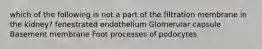 which of the following is not a part of the filtration membrane in the kidney? fenestrated endothelium Glomerular capsule Basement membrane Foot processes of podocytes