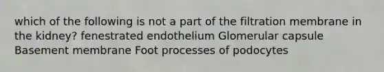 which of the following is not a part of the filtration membrane in the kidney? fenestrated endothelium Glomerular capsule Basement membrane Foot processes of podocytes