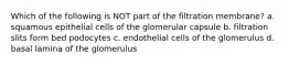 Which of the following is NOT part of the filtration membrane? a. squamous epithelial cells of the glomerular capsule b. filtration slits form bed podocytes c. endothelial cells of the glomerulus d. basal lamina of the glomerulus